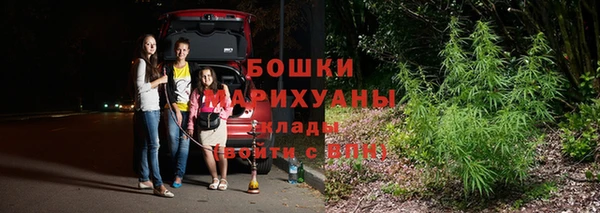 СК Аркадак