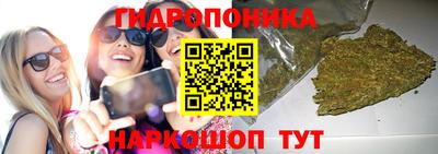 индика Наро-Фоминск