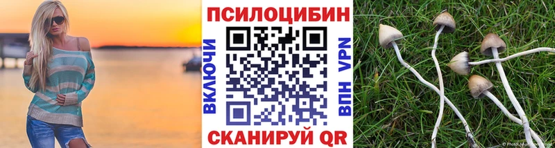 Галлюциногенные грибы Cubensis  МЕГА онион  Чусовой 