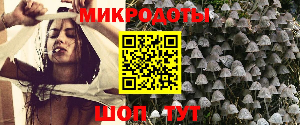 где можно купить наркотик  Вход с VPN  Чусовой  Псилоцибиновые грибы GOLDEN TEACHER 
