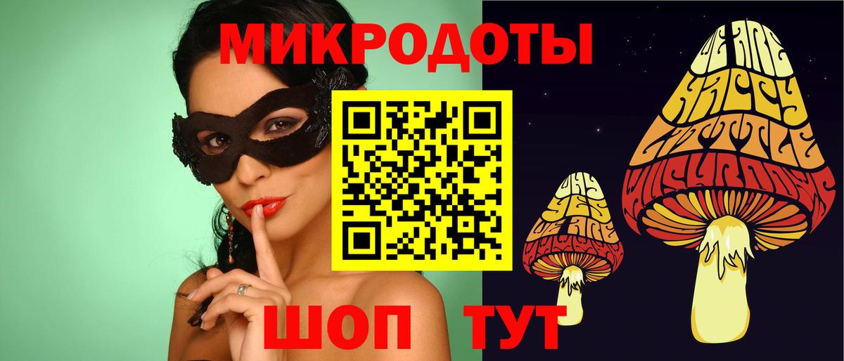 Галлюциногенные грибы Psilocybe Чусовой